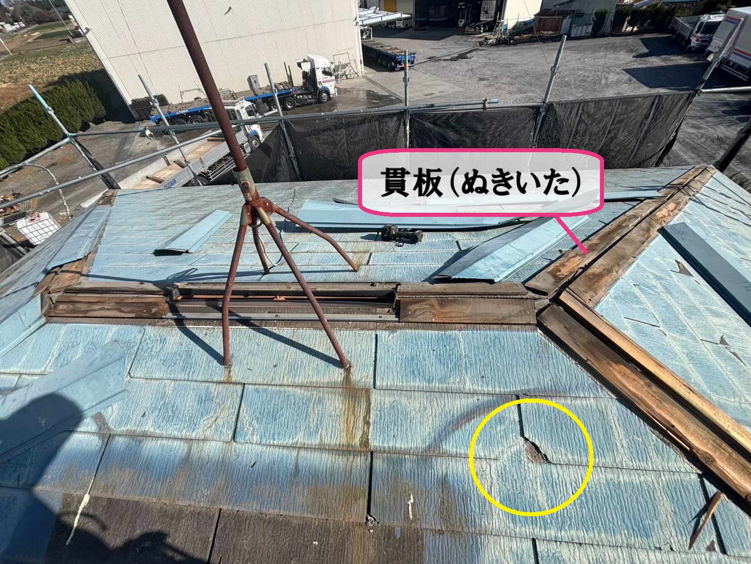 貫板
